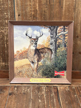Load image into Gallery viewer, Budweiser White-Tail Deer Vintage 1986 Paper Wall Art ABC Vintage 