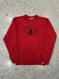 Carhartt Michigan Vintage 90s Crest Crewneck Red ABC Vintage 