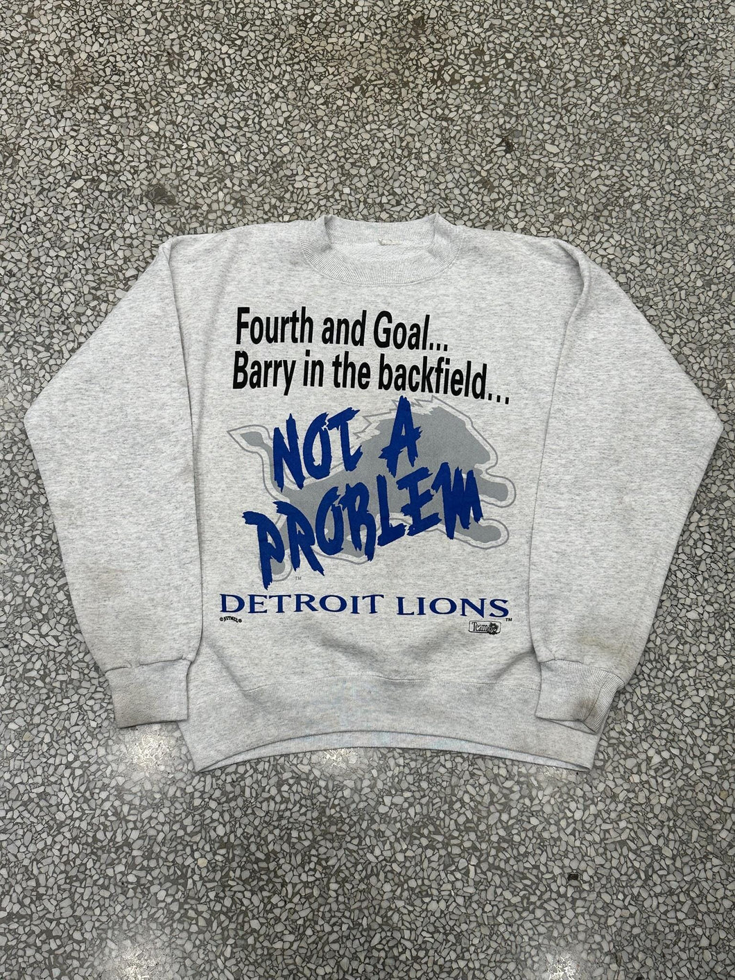 Detroit Lions Vintage 90s Barry Not A Problem Crewneck Grey ABC Vintage 