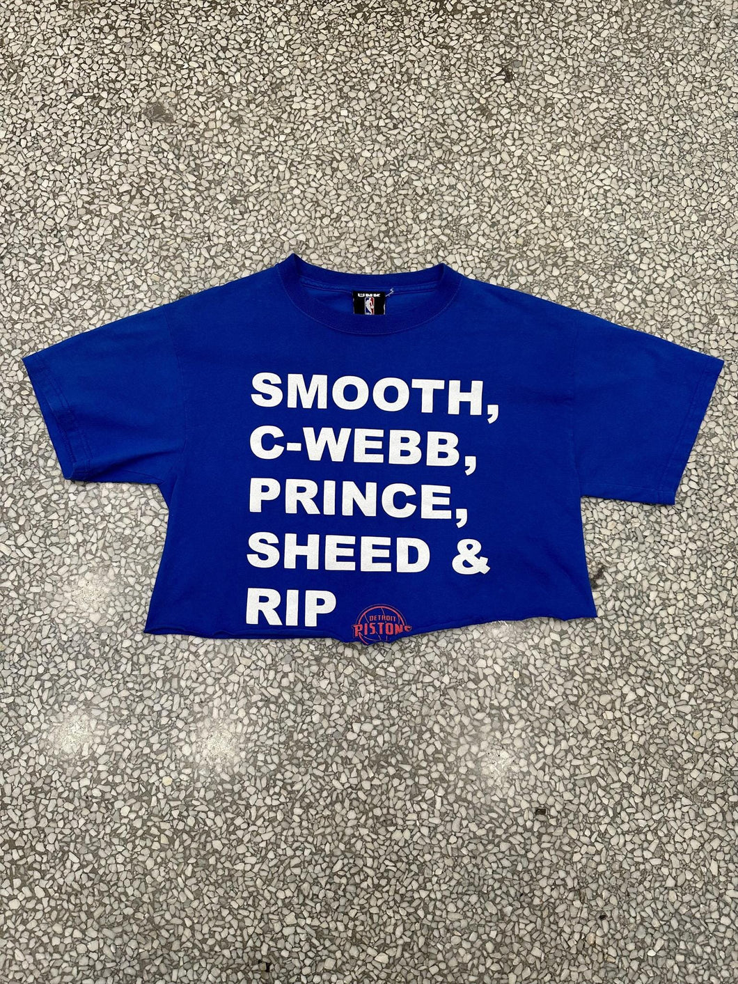 Detroit Pistons Vintage 2000s Smooth, C-Webb, Prince, Sheed & RIP Cropped Tee Blue ABC Vintage 