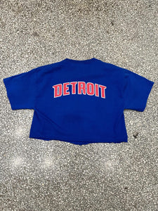 Detroit Pistons Vintage 2000s Smooth, C-Webb, Prince, Sheed & RIP Cropped Tee Blue ABC Vintage 