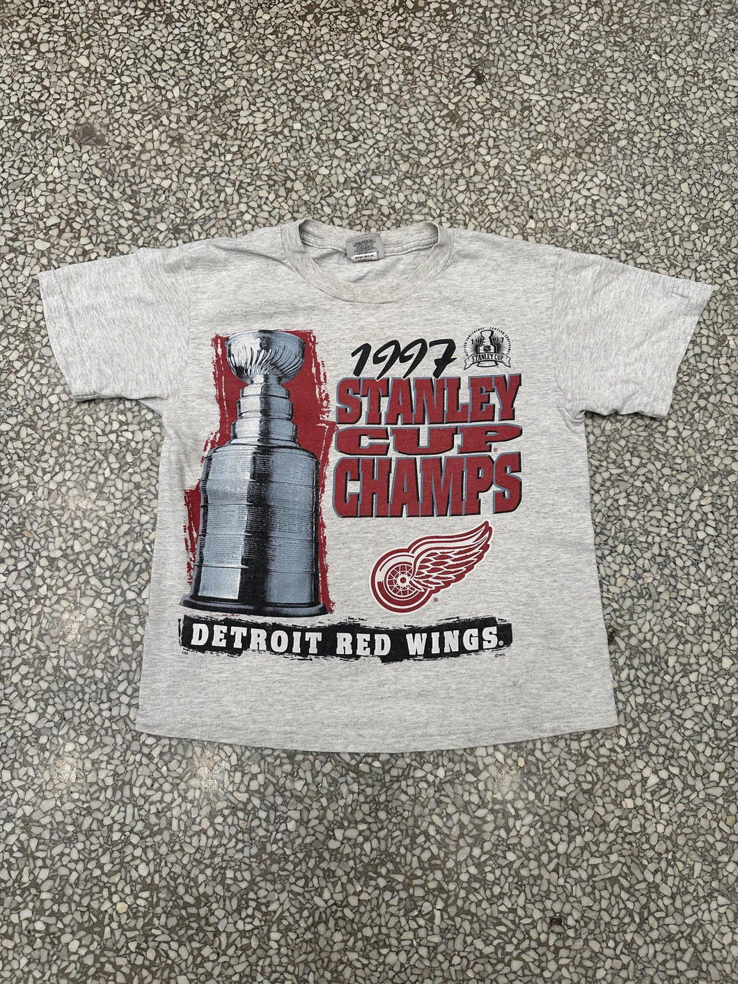 Detroit Red Wings Vintage 1997 Stanley Cup Champs Faded Grey ABC Vintage 