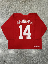 Load image into Gallery viewer, Detroit Red Wings Vintage 90s Brendan Shanahan CCM Jersey Red ABC Vintage 