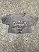 Load image into Gallery viewer, Harley-Davidson Vintage 90s Cropped Tee Sun Faded ABC Vintage 