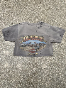 Harley-Davidson Vintage 90s Cropped Tee Sun Faded ABC Vintage 