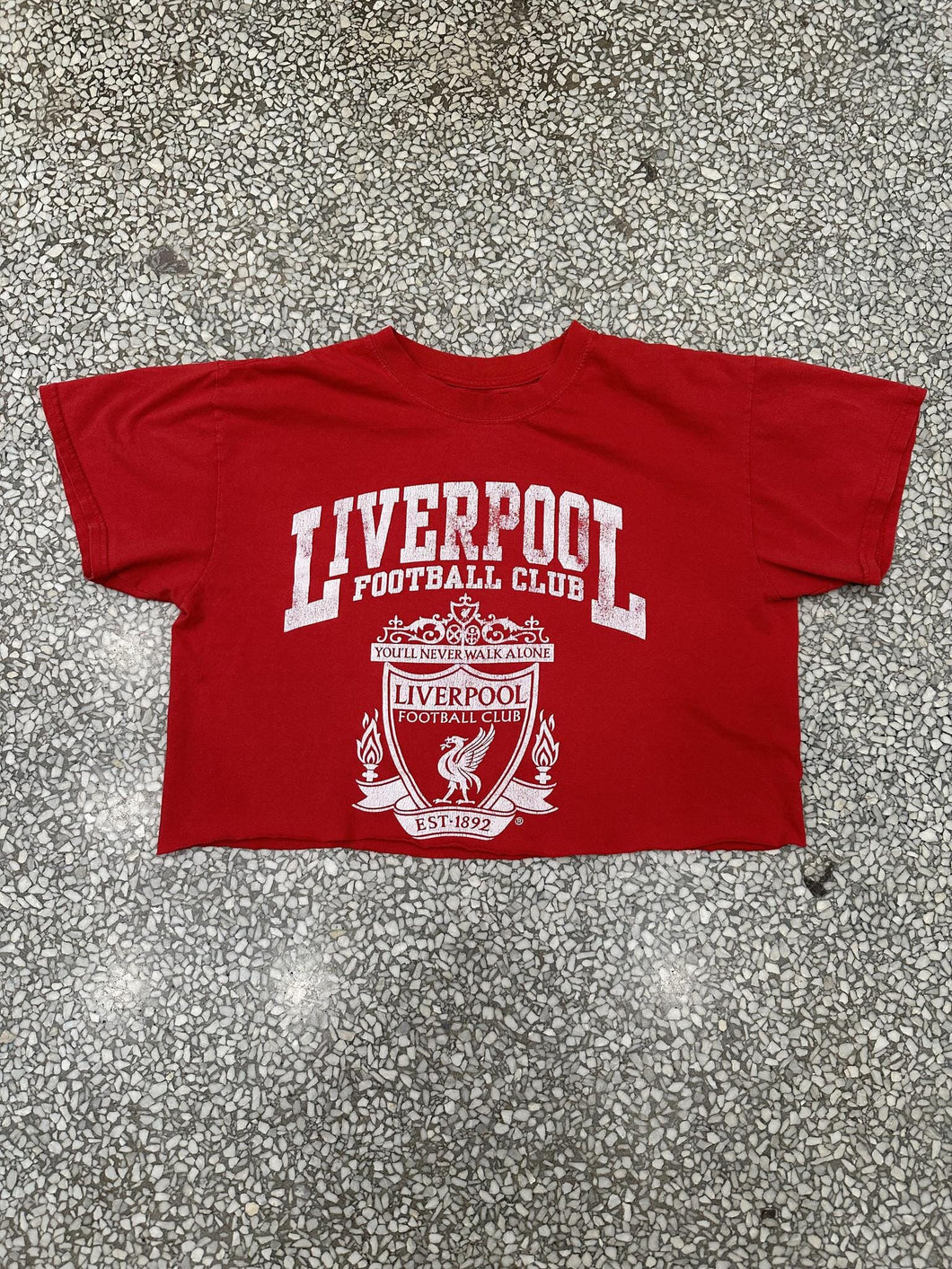 Liverpool Football Club Vintage 2000s Cropped Tee Faded Red ABC Vintage 