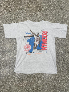 Detroit Pistons Vintage 1989 Dennis Rodman The Worm Grey ABC Vintage 
