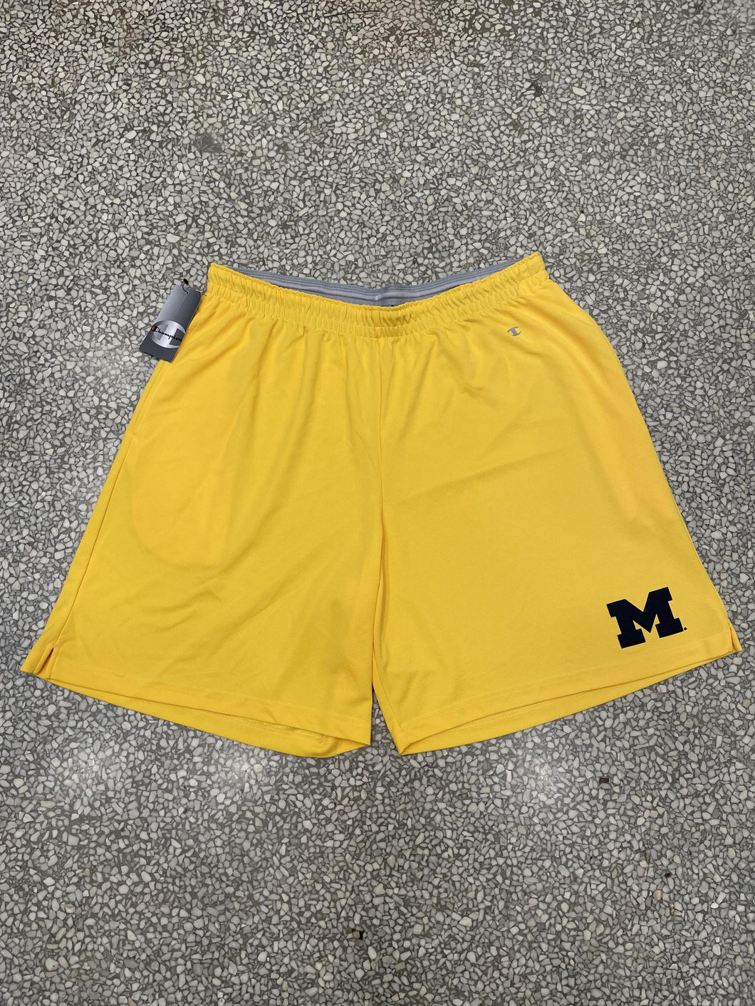 Michigan Vintage Champion Shorts ABC Vintage 