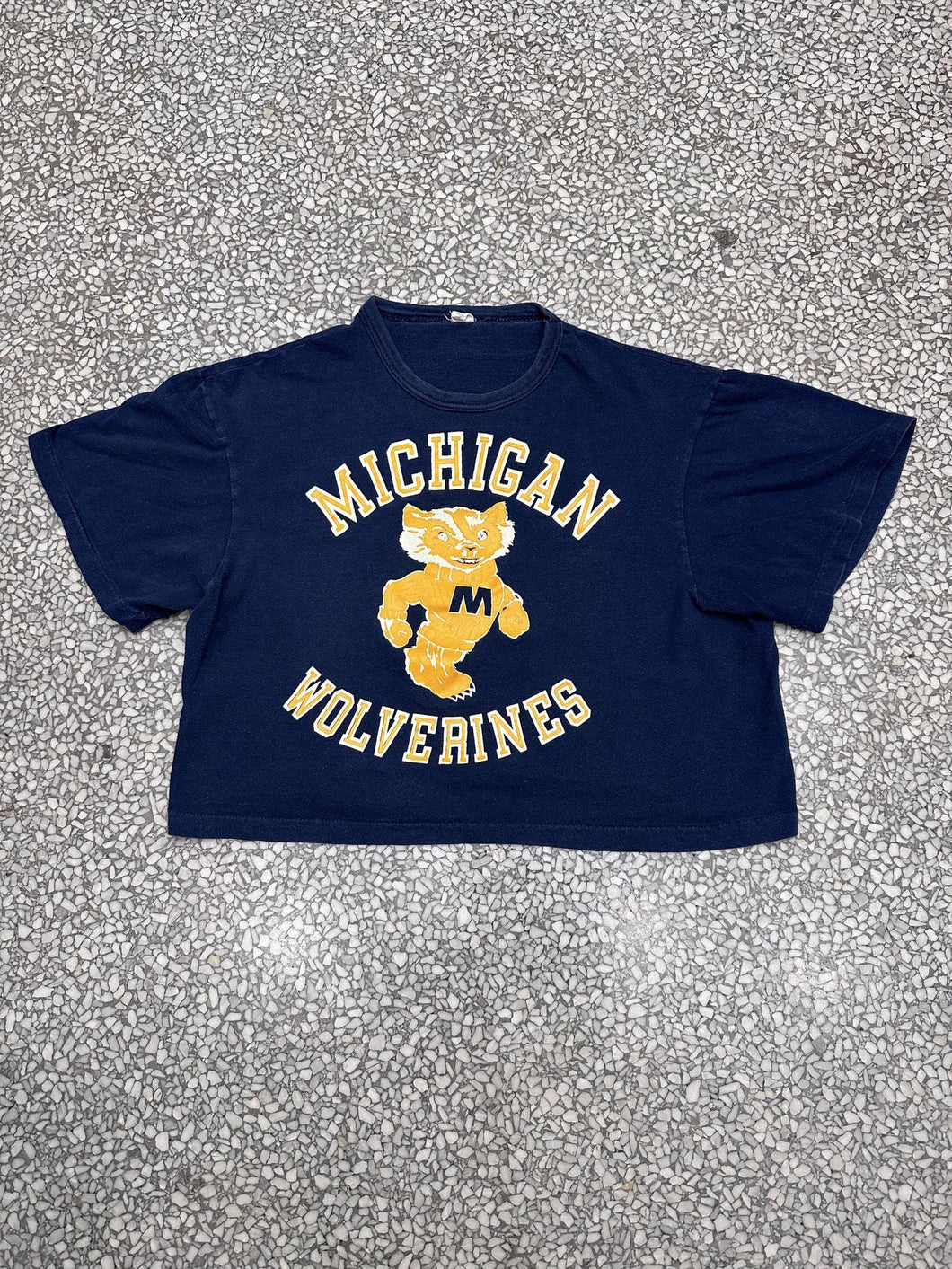 Michigan Wolverines Vintage 70s Cropped Tee Faded Navy ABC Vintage 