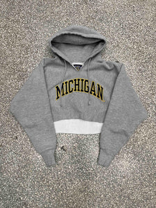 Michigan Wolverines Vintage 90s Cropped Hoodie Grey ABC Vintage 